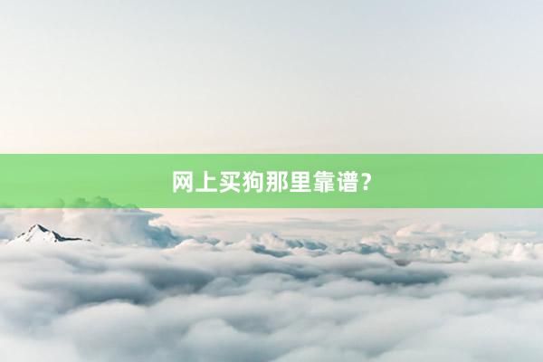 网上买狗那里靠谱?